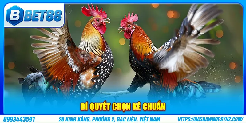 Bí quyết chọn kê chuẩn