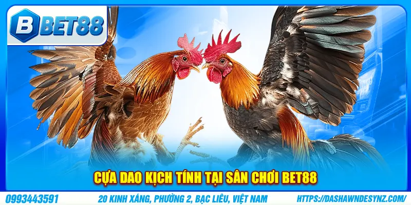 Cựa dao kịch tính tại sân chơi BET88