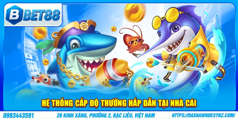 Hệ thống cấp độ thưởng hấp dẫn tại nhà cái