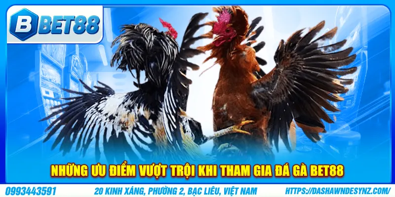 Vài ưu điểm vượt trội khi chơi tại đá gà Bet88