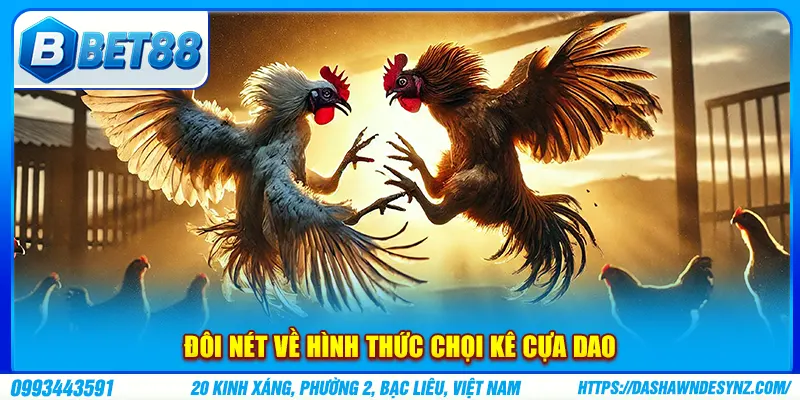 Đôi nét về hình thức chọi kê cựa dao