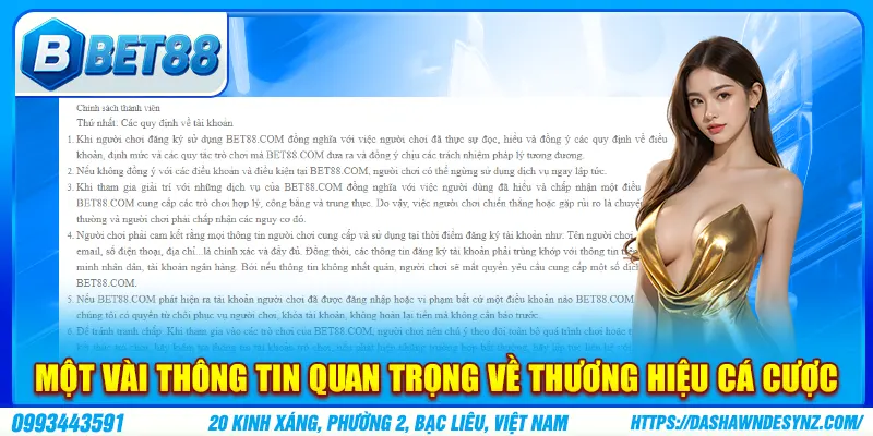 Một vài thông tin quan trọng về thương hiệu cá cược